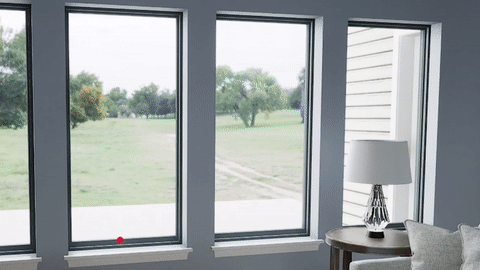 paint_visualizer_window_frame_paint